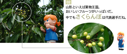 �t���[�c�����R�`