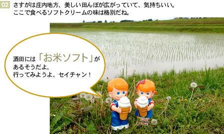 �����n��