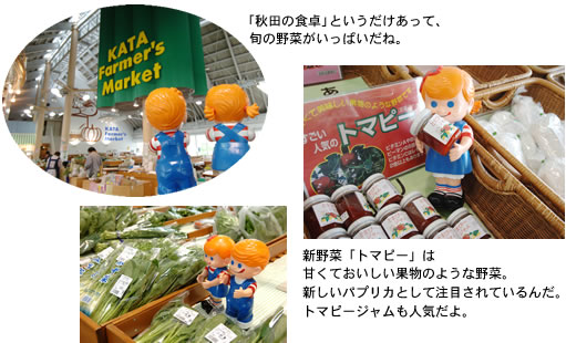 �H�c�̐H��