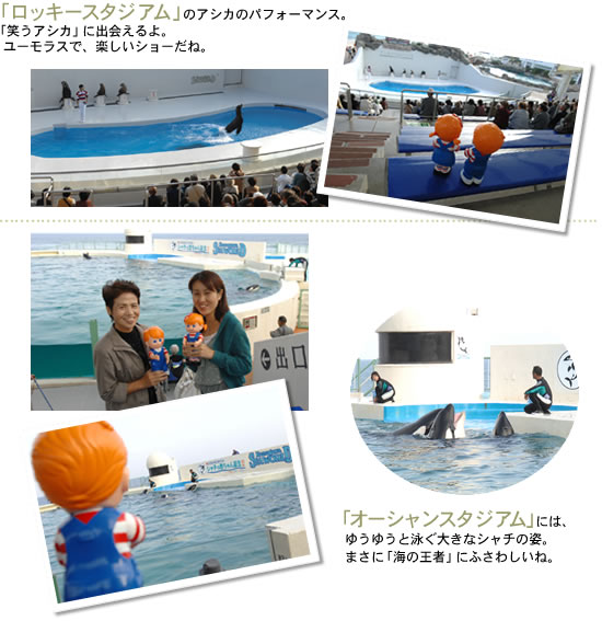 ���b�L�[�X�^�W�A���E�I�[�V�����X�^�W�A��