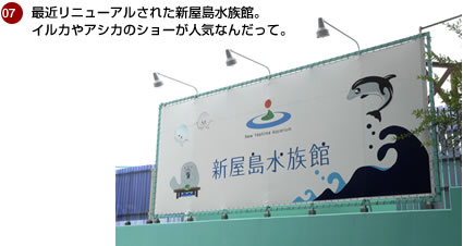 �V����������