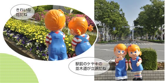 駅前ケヤキ並木道