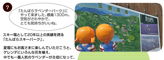 たんばらラべンダーパーク