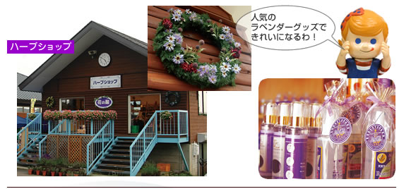 たんばらラべンダーパーク