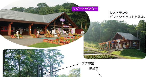 たんばらラべンダーパーク