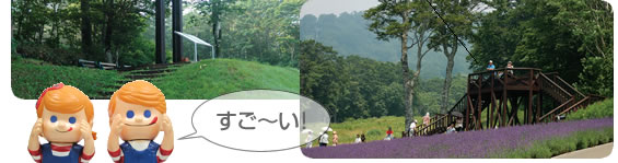 たんばらラべンダーパーク