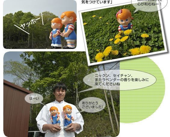 たんばらラべンダーパーク