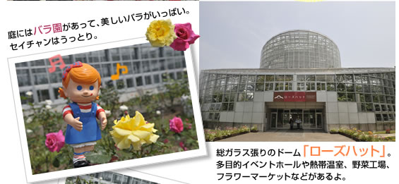 ��܂񂿂�����