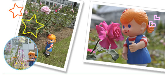 ��܂񂿂�����