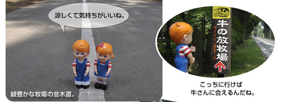 ��{���q��