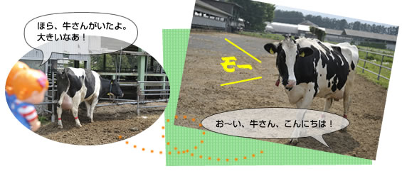 ��{���q��