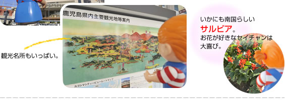 �������s��