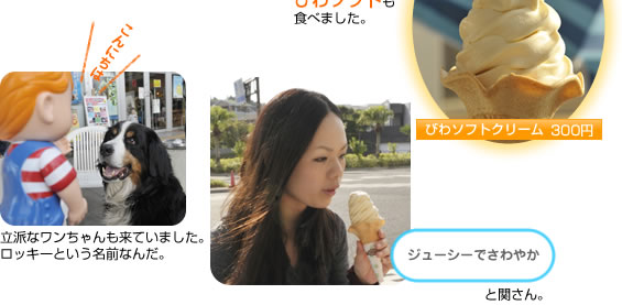 ���̉w���Ԃ����ʉԍ؊فi�����Ȃ���j