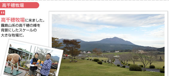 �����q��