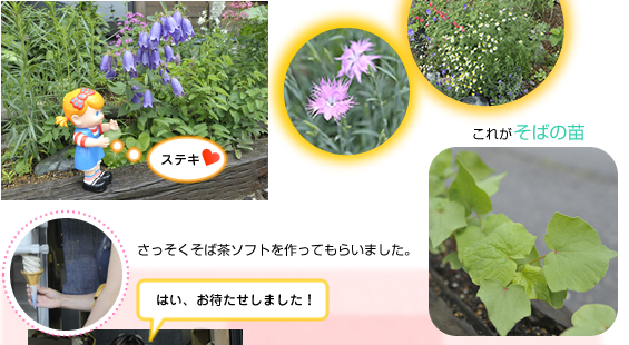 �����R�L