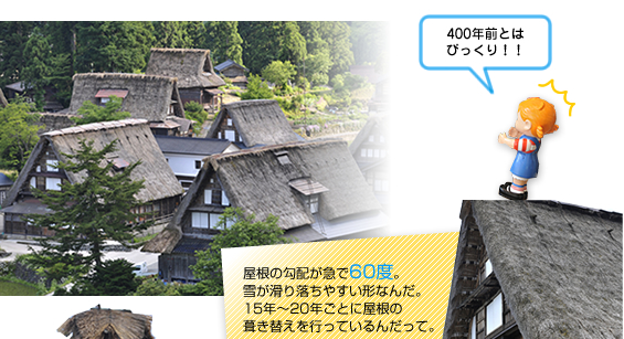 ���q��������W��