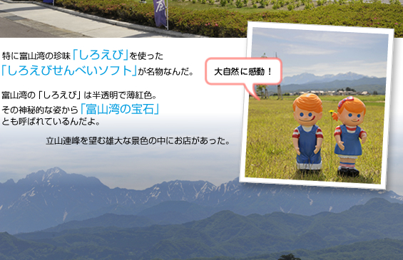 �����牮���R�{�X