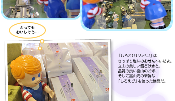 �����牮���R�{�X