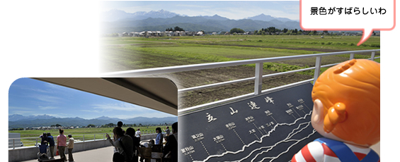 �����牮���R�{�X