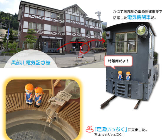 �F�ތ�����