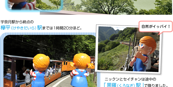 �������J�S���g���b�R���