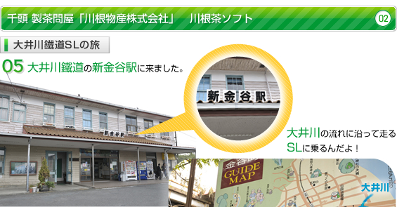 ����S��SL�̗�