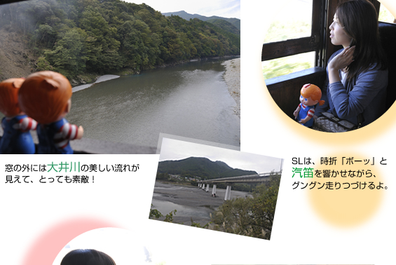 ����S��SL�̗�