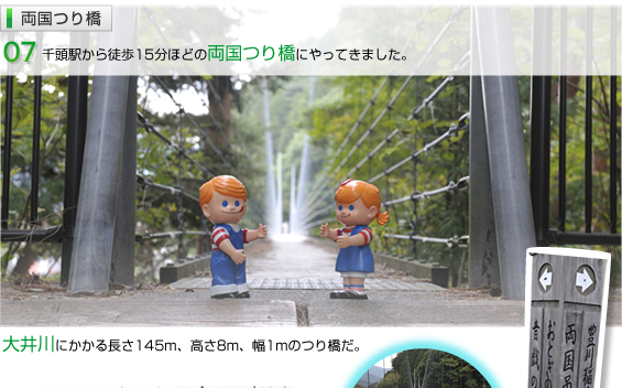 �����苴