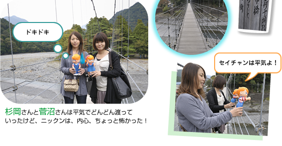 �����苴