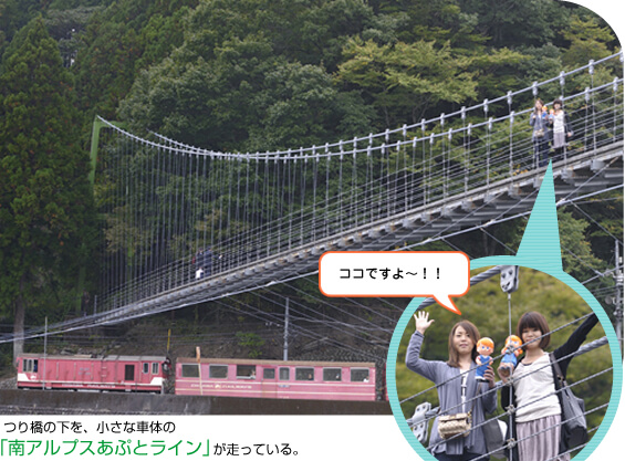 �����苴