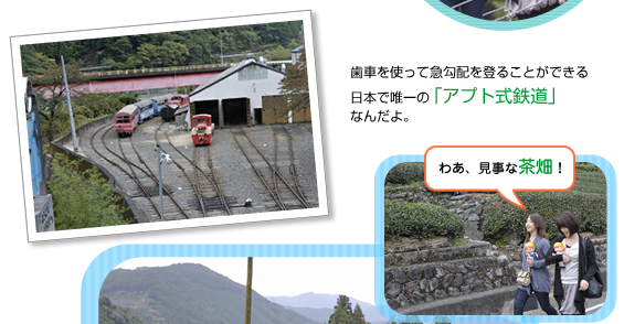 �����苴