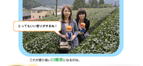 �����苴