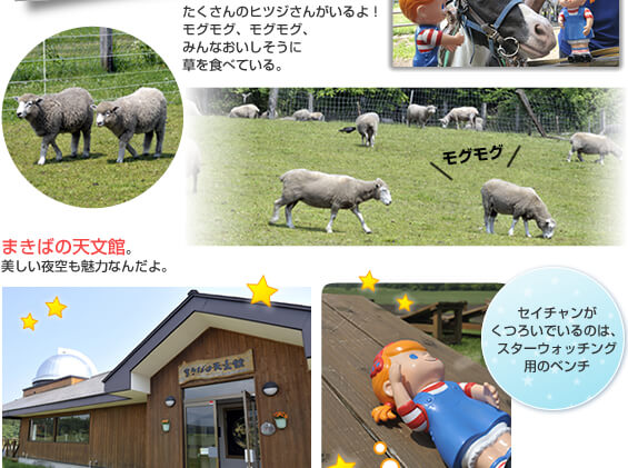 �����_��܂��Ή�