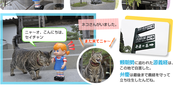 ���򒆑���