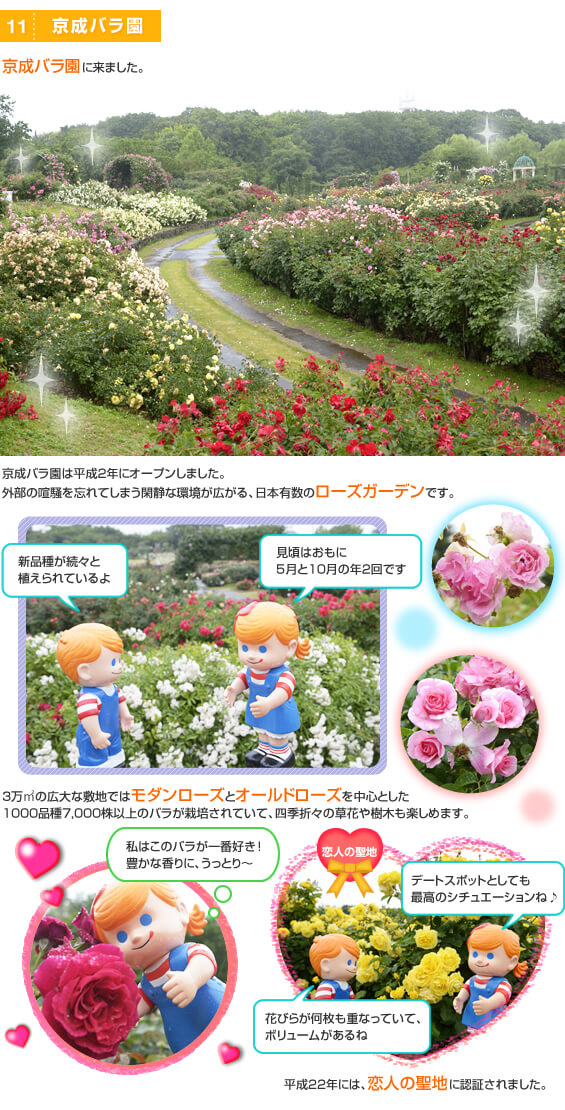 �����o����