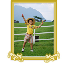 �D�G�܎�܍�i