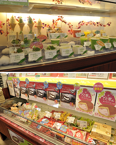 ���{���̑f���炵����