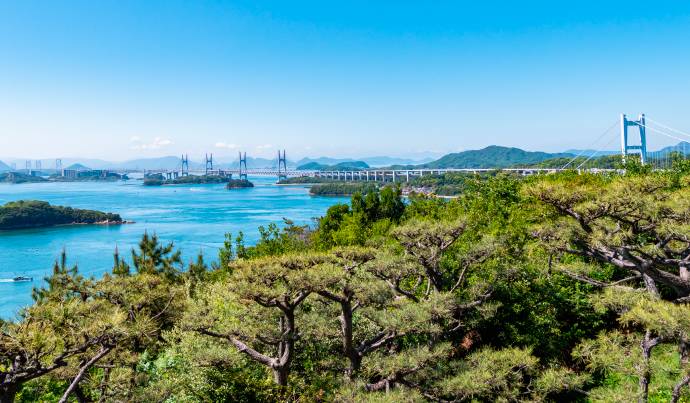 日本産桃のルーツ。晴れの国、岡山県で生まれた白桃。