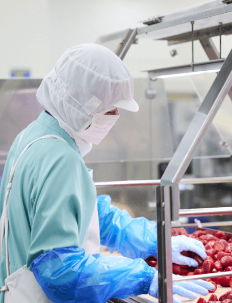 生産（フルーツプレパレーション）