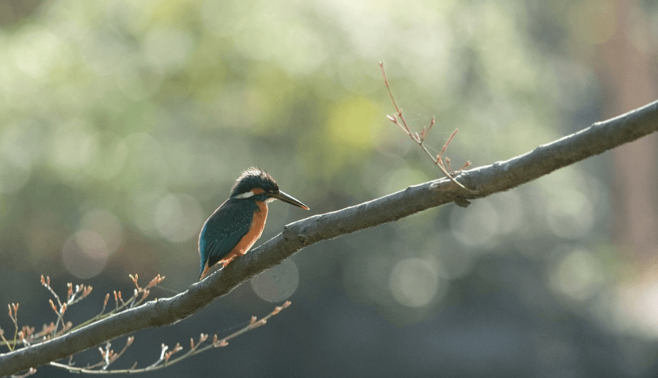 休日の過ごし方