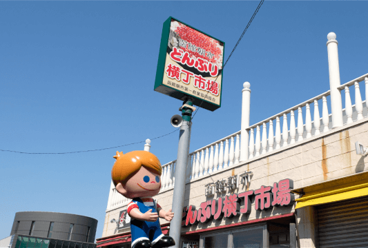 �ǂ�Ԃ艡���s��