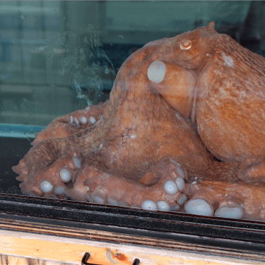 �X���C�_�[06