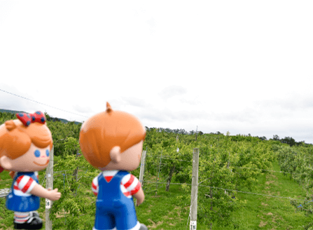 �݂₲�ʎ���