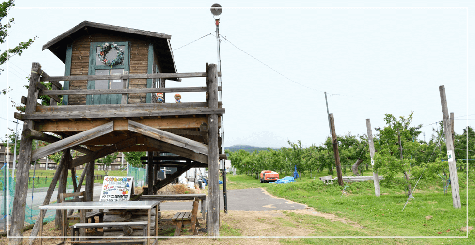 �݂₲�ʎ���