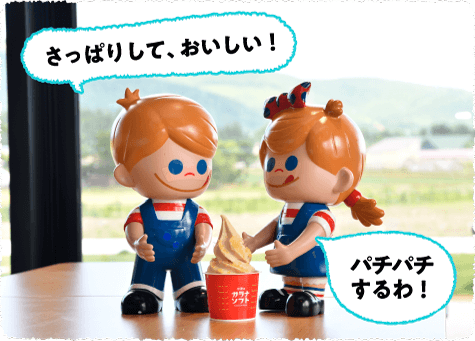 �K���i�\�t�g�i�p�`�p�`����j