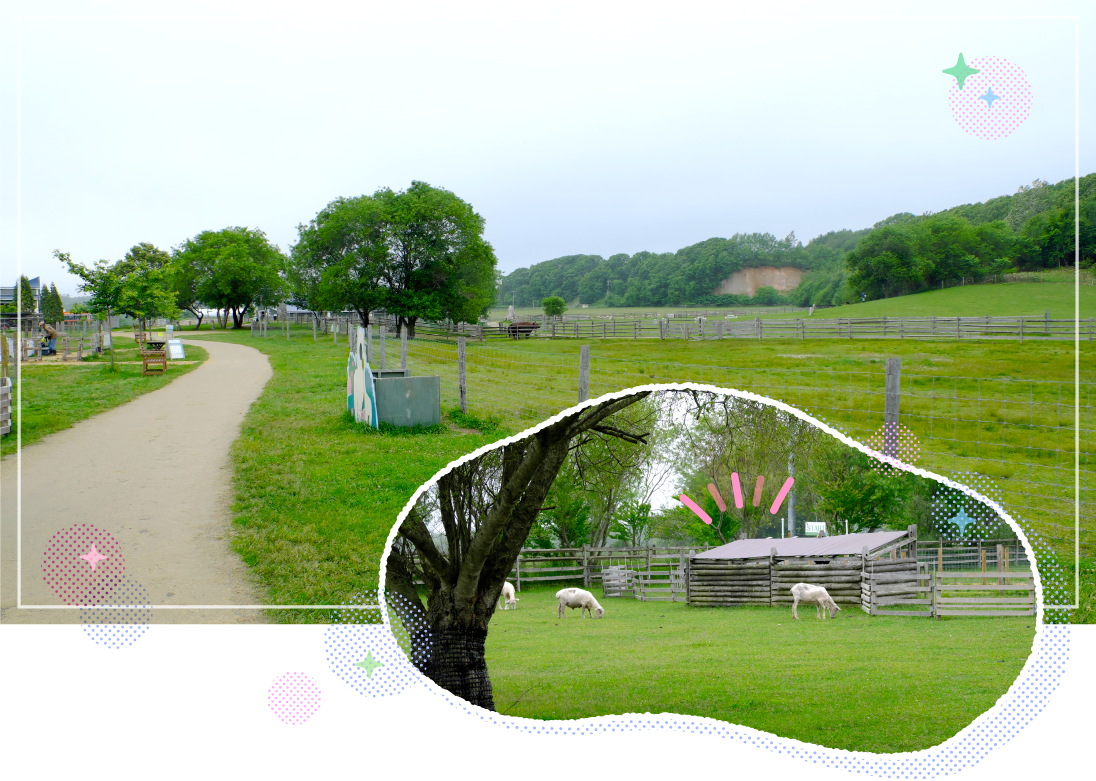 �������