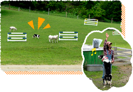 �݂ǂ�̖q��V���[