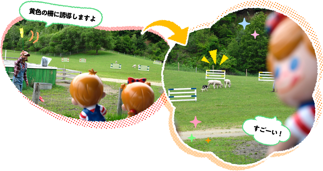 �݂ǂ�̖q��V���[