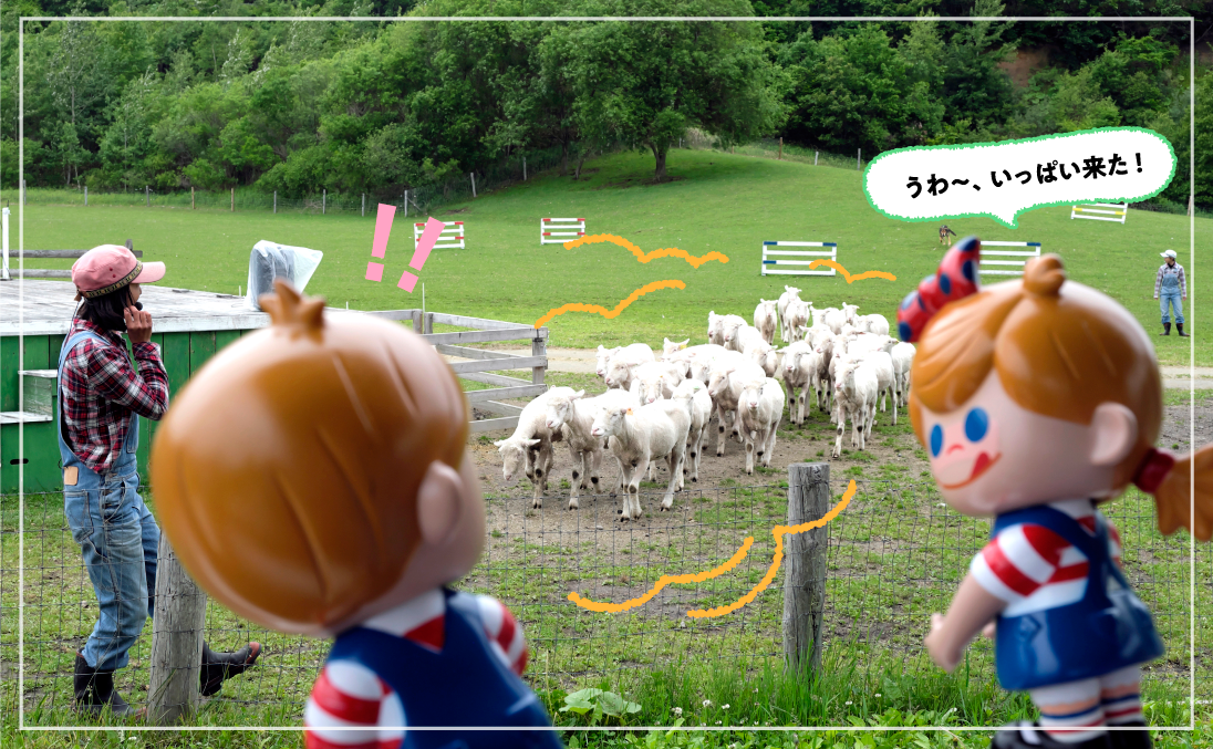 �݂ǂ�̖q��V���[