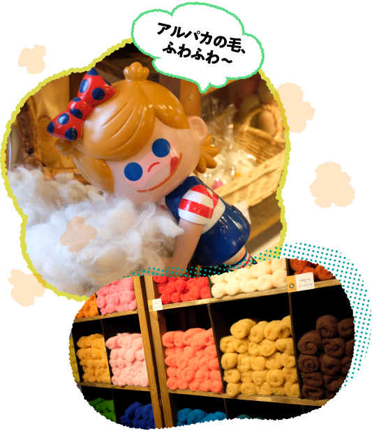 �r�уN���t�g�̌�